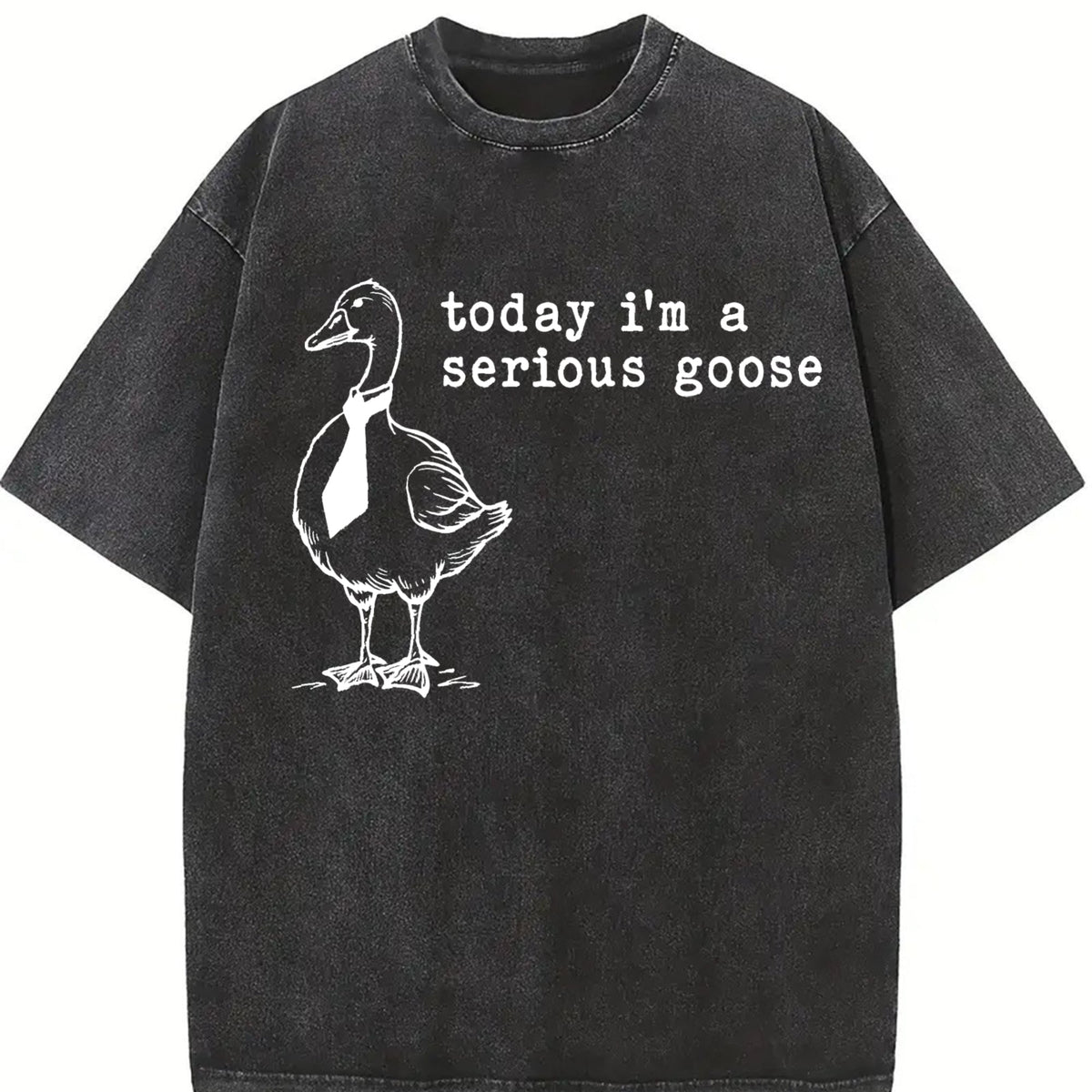 Serious Goose Vintage Washed T-Shirt product image 2