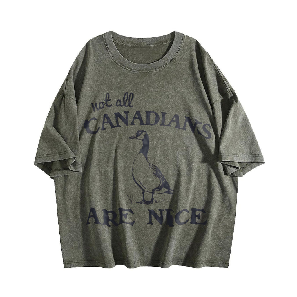 Canadian Goose Summer Vintage Washed T-Shirt product image 4
