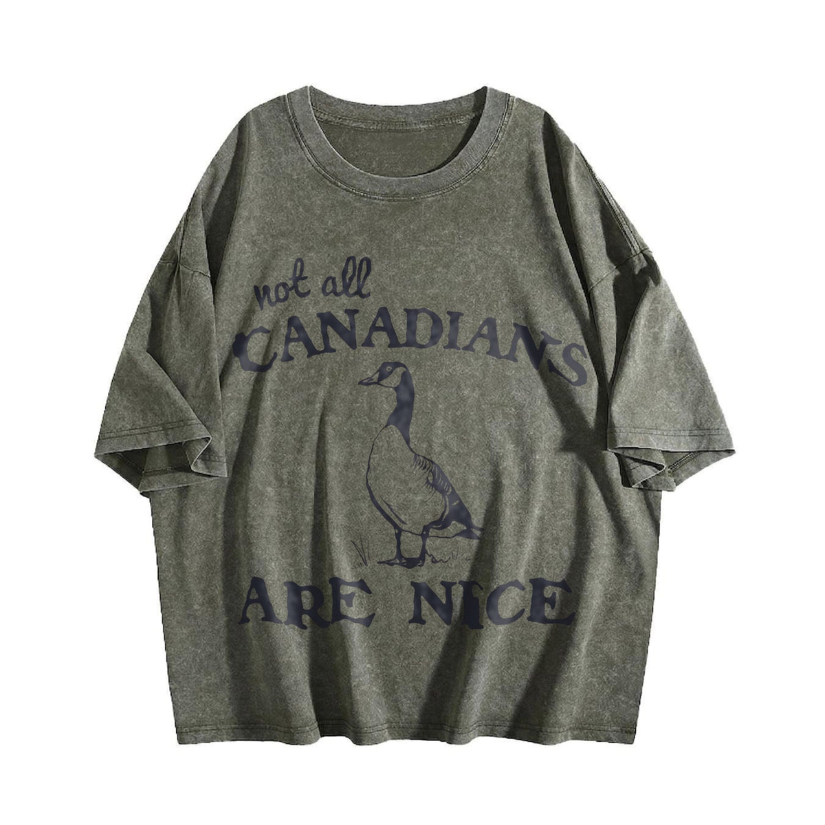 Canadian Goose Summer Vintage Washed T-Shirt product image 4