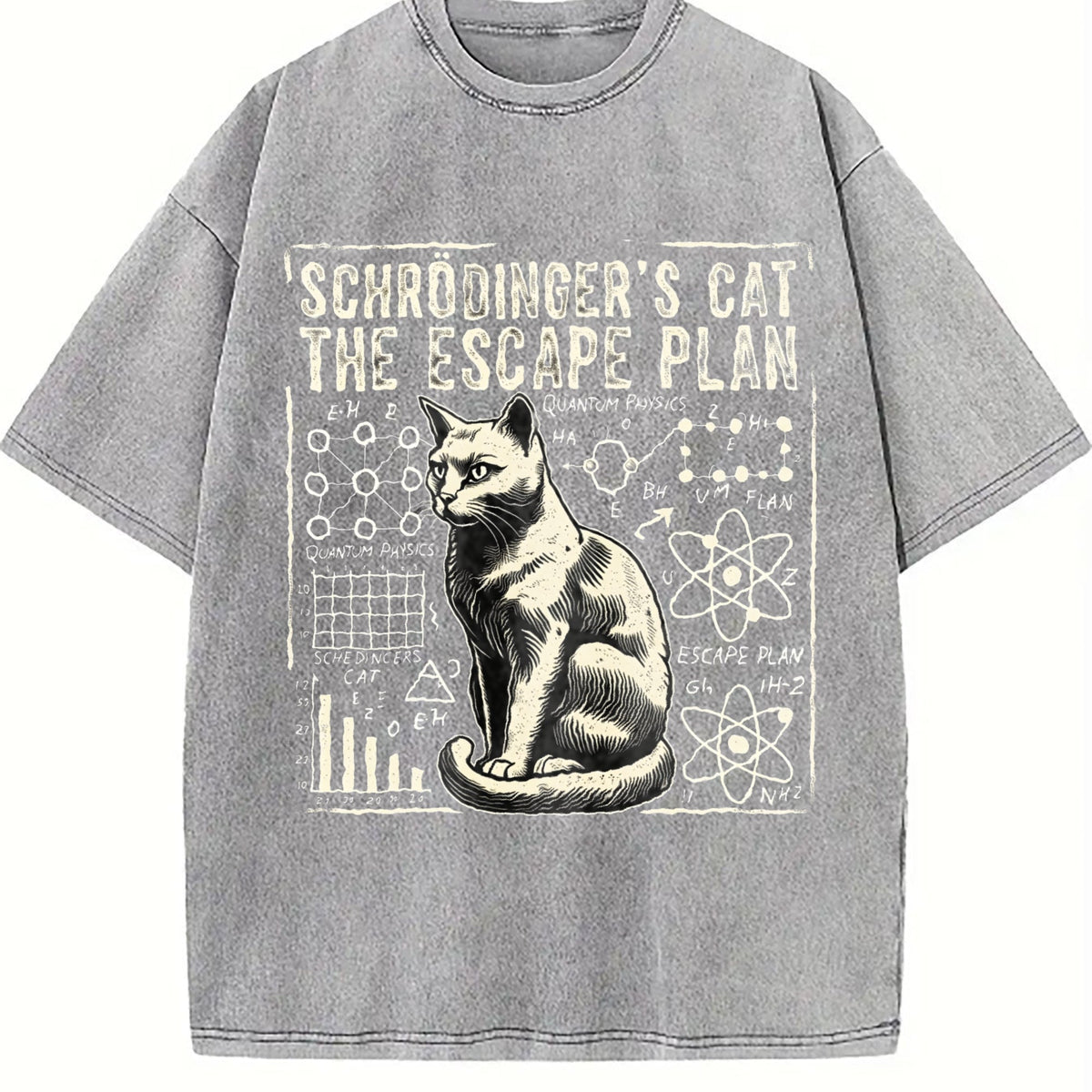Schrodinger's Cat Escape Plan Vintage Washed T-Shirt product image 4