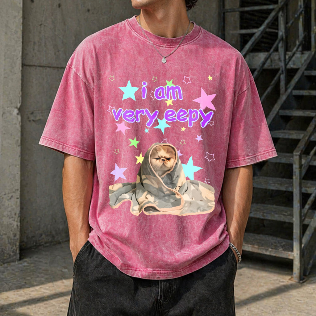 Eepy Cat Funny Vintage Washed T-Shirt product image 7