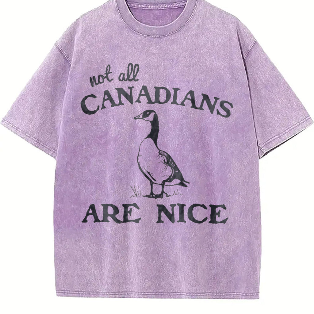 Canadian Goose Summer Vintage Washed T-Shirt product image 6