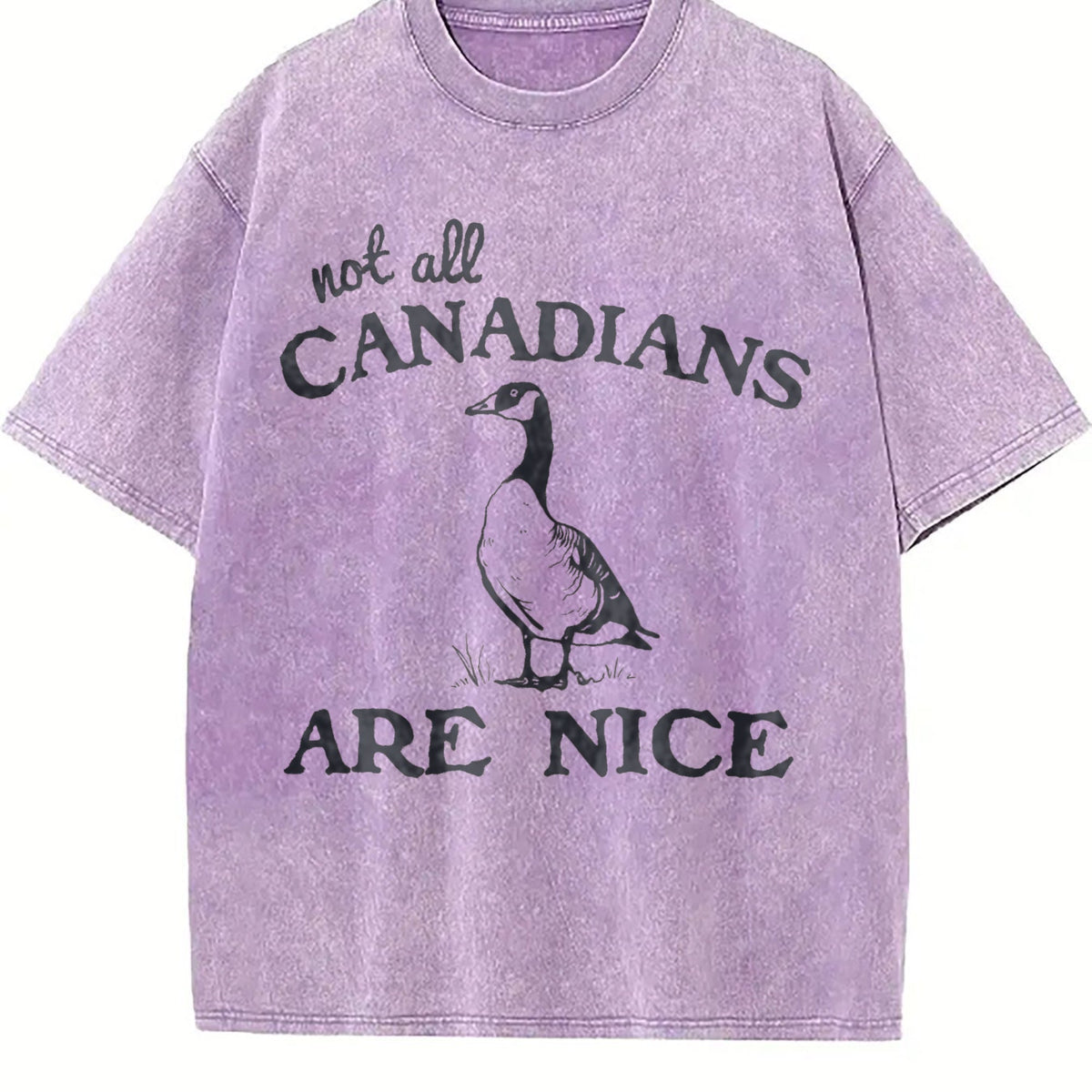 Canadian Goose Summer Vintage Washed T-Shirt product image 6