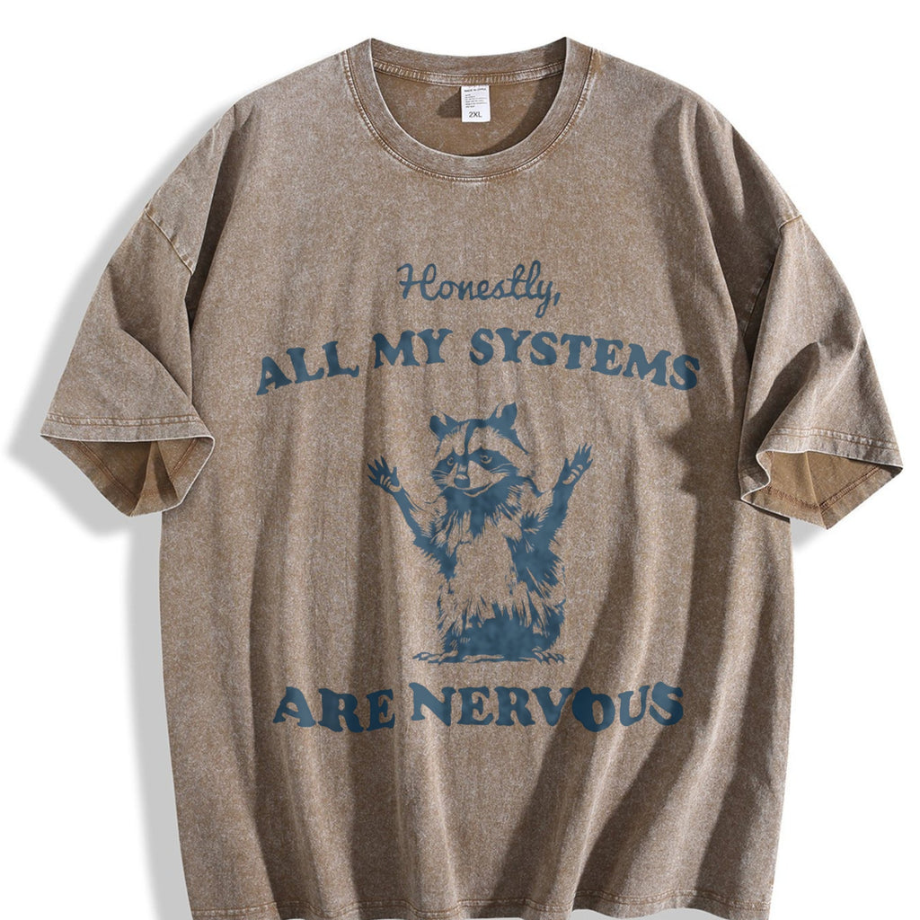 Honestly All My Systems Are Nervous Vintage Washed T-Shirt product image 3