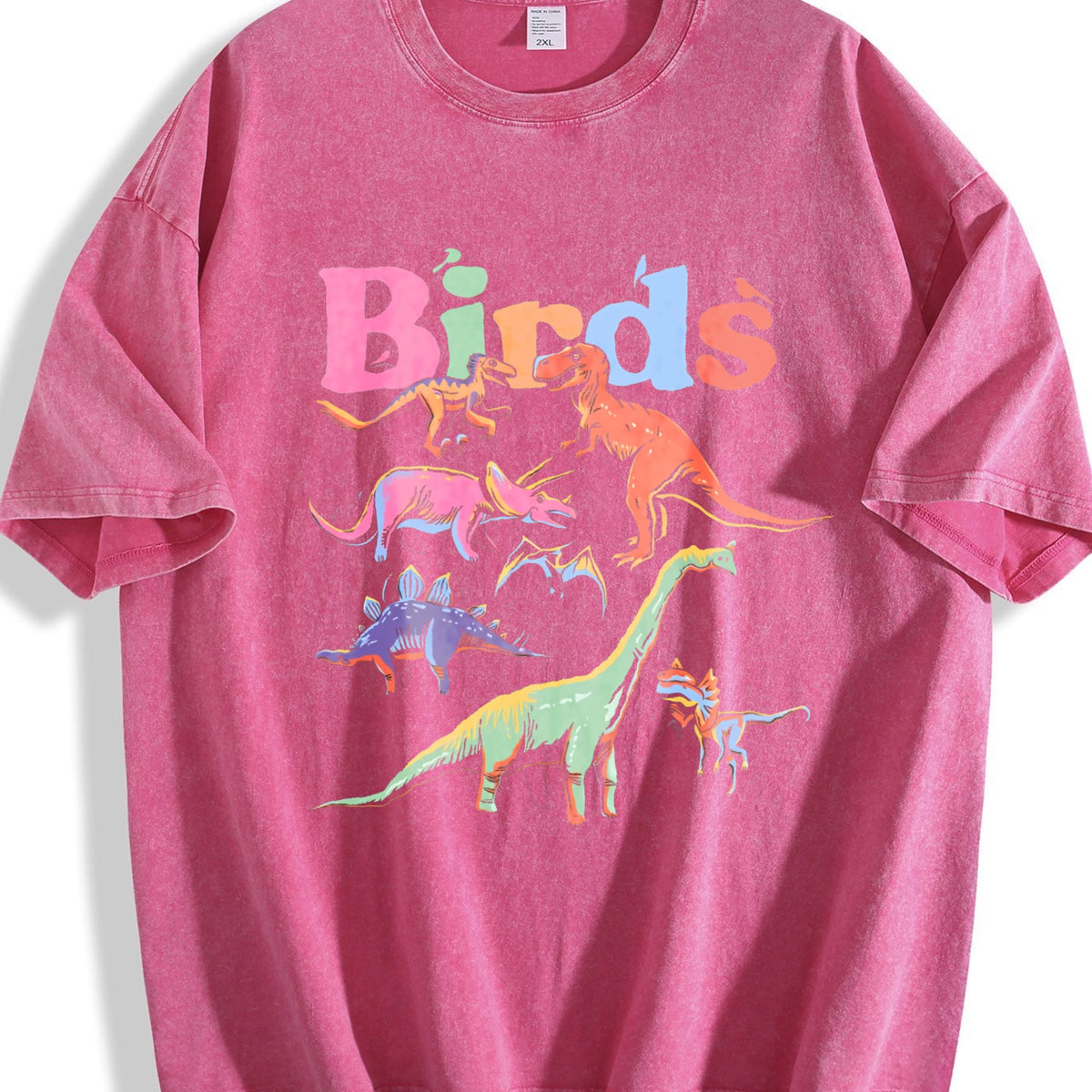 Dinosaur - Black With Prehistoric & Birds Vintage Washed product image 5