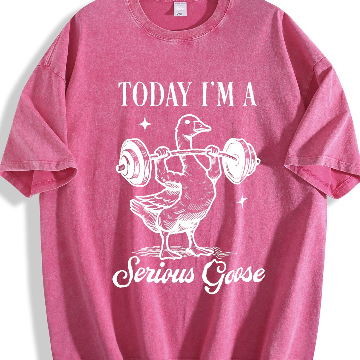 Today I Am Serious Goose Vintage Washed T-Shirt product image 5