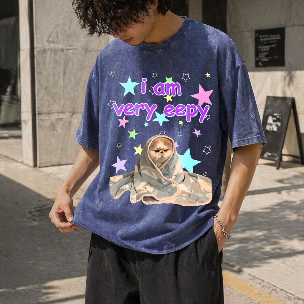 Eepy Cat Funny Vintage Washed T-Shirt product image 8
