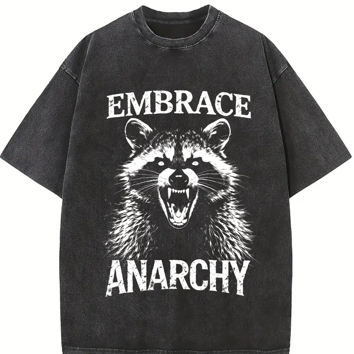 Embrace Anarchy Raccoon Vintage Washed T-Shirt product image 2