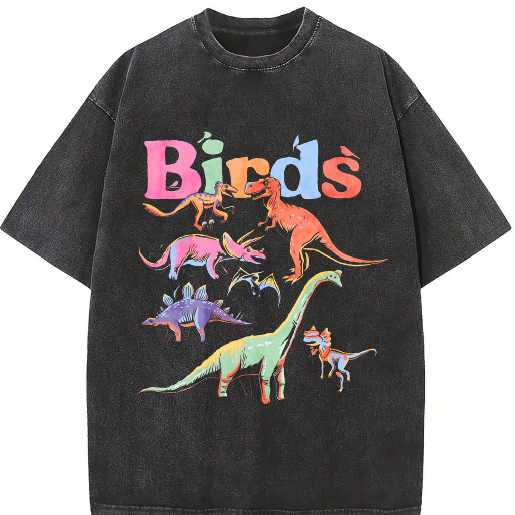 Dinosaur - Black With Prehistoric & Birds Vintage Washed product image 2