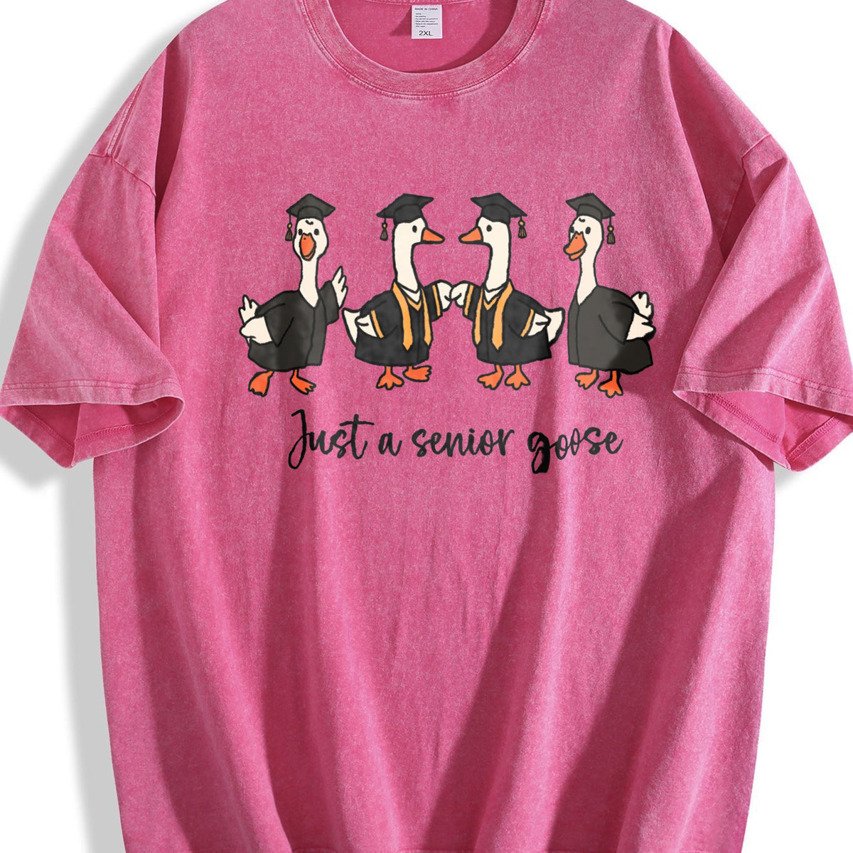 Preppy Graduation Goose Vintage Washed T-Shirt product image 5