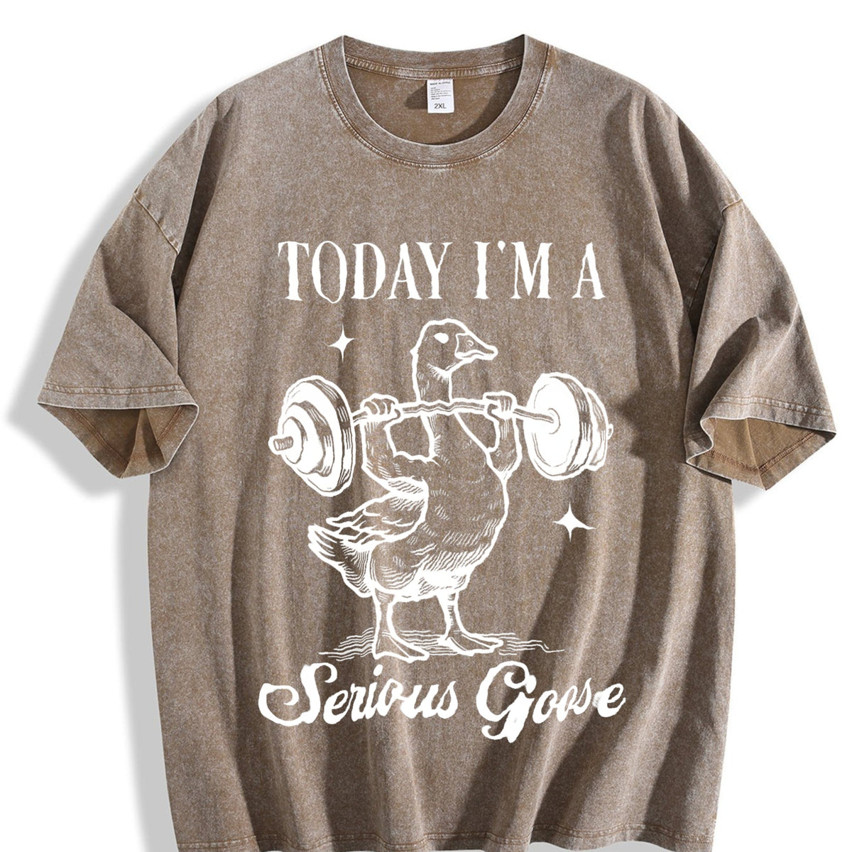 Today I Am Serious Goose Vintage Washed T-Shirt product image 3