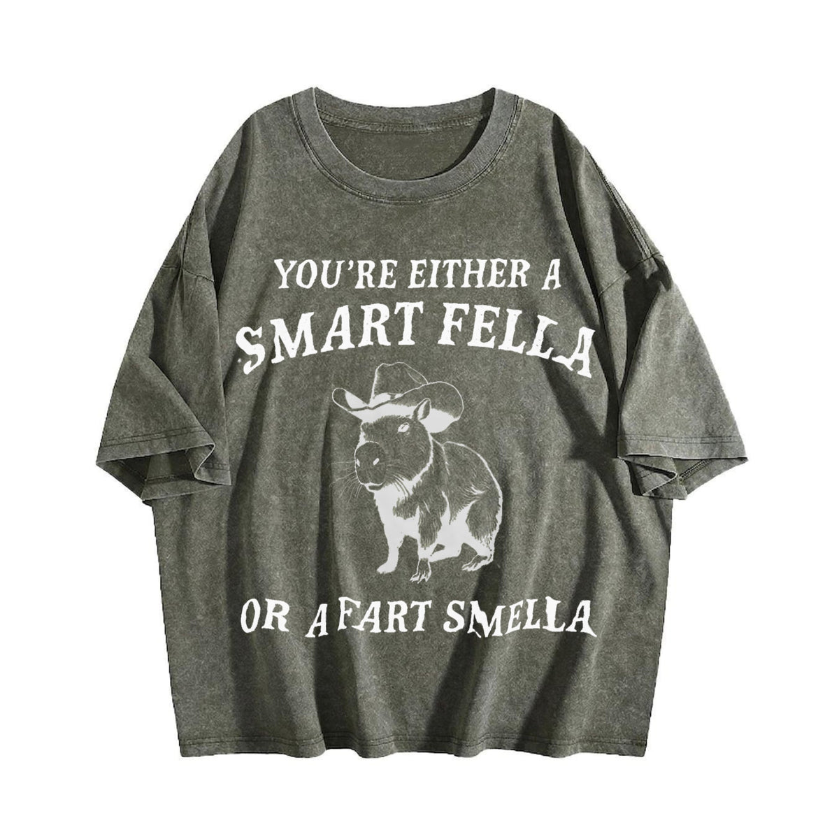 Are You A Smart Fella Vintage Washed T-Shirt product image 4