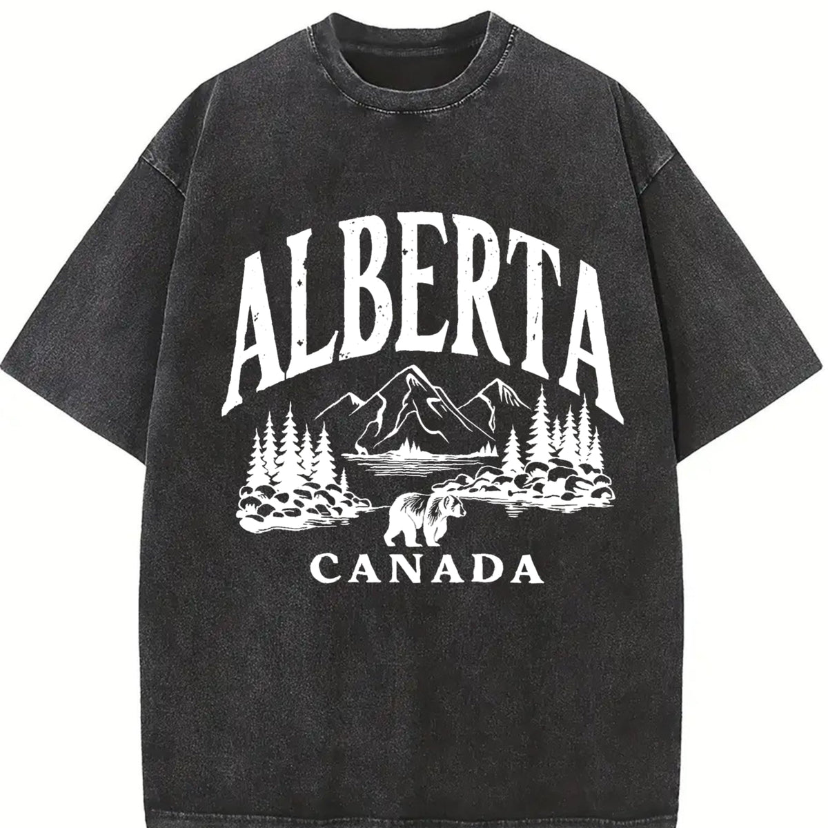 Canadian Canada Grizzly Bear Snow Mountain Summer Vintage product image 2