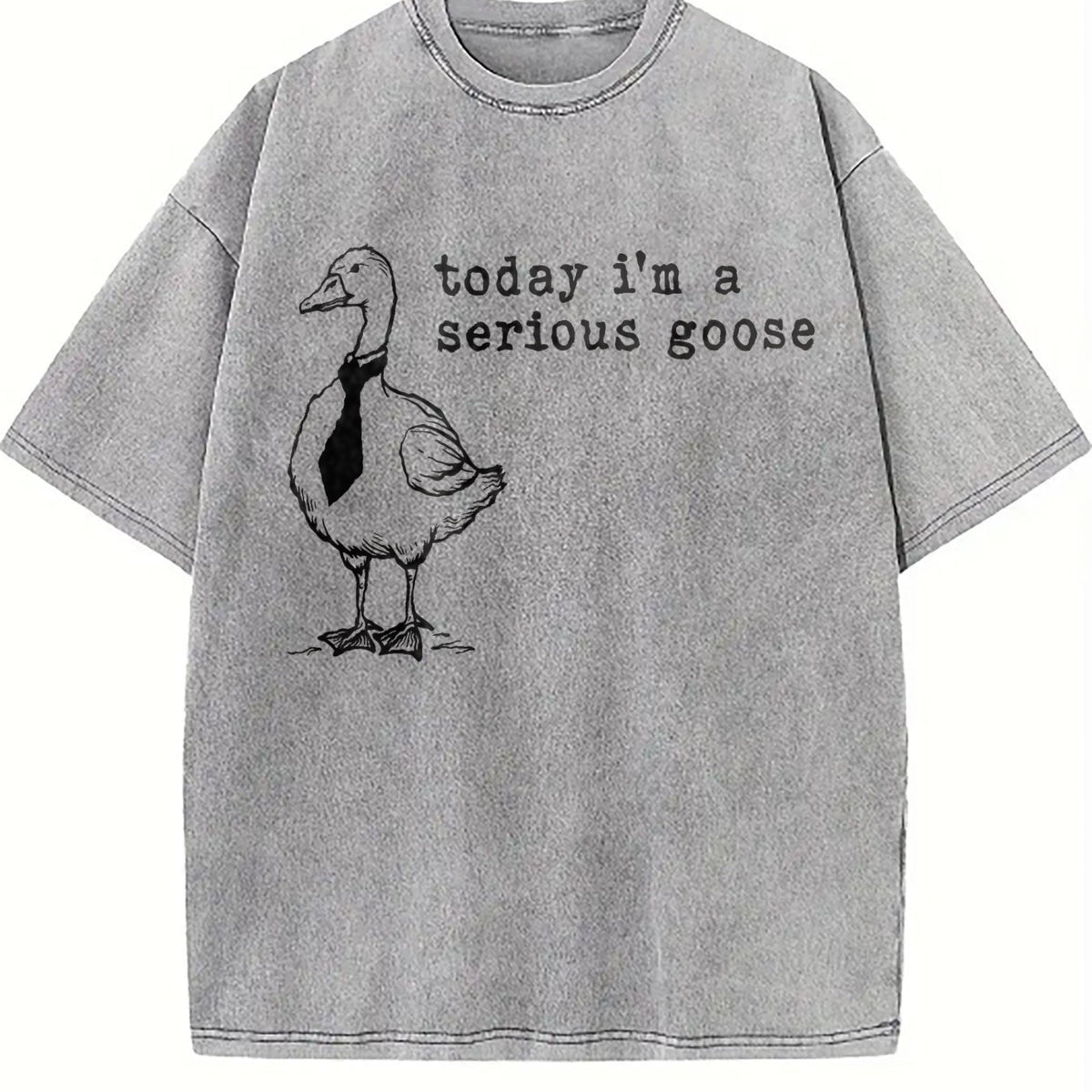 Serious Goose Vintage Washed T-Shirt product image 4