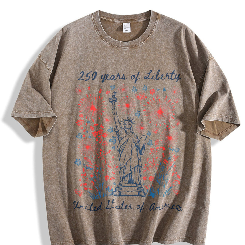 250 Years Of Liberty Vintage Washed T-Shirt product image 3