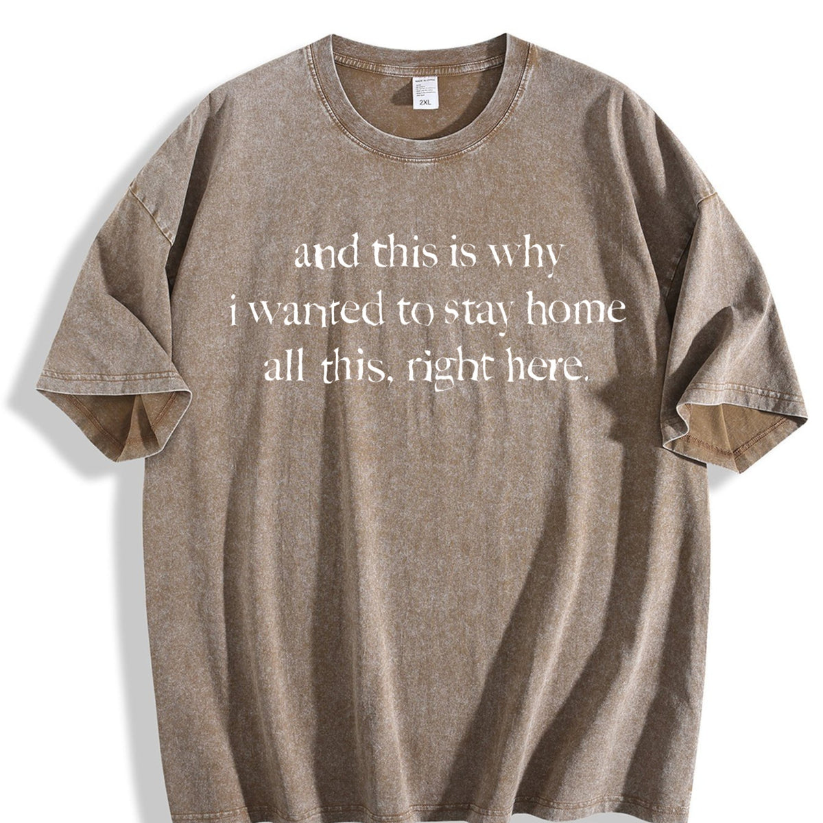 This Is Why I Wanted to Stay Home Vintage Washed T-Shirt product image 3