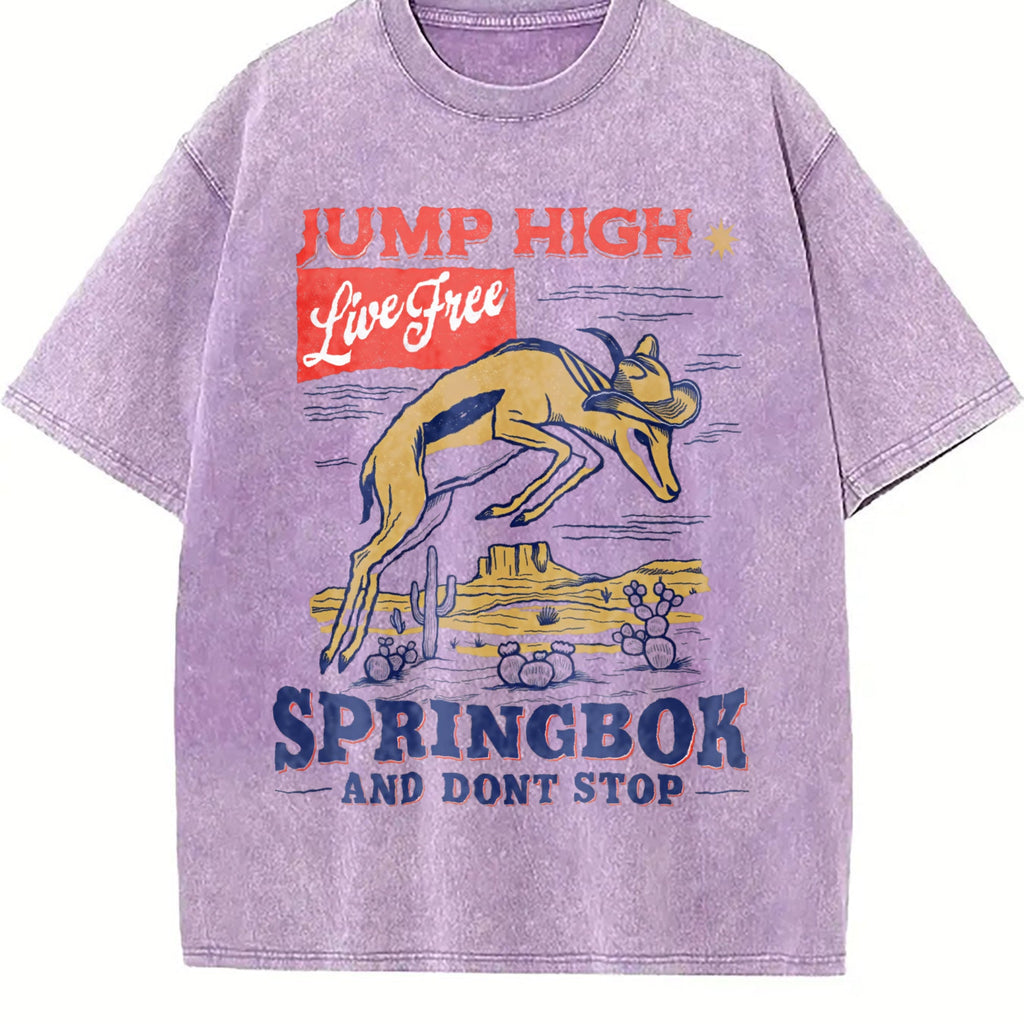 Springbok Western 90s Vintage Washed T-Shirt product image 6