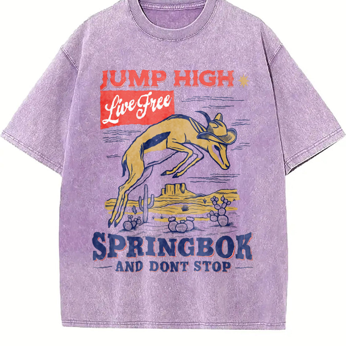 Springbok Western 90s Vintage Washed T-Shirt product image 6