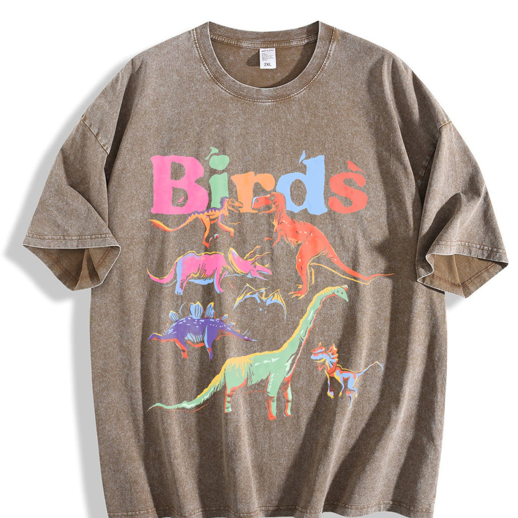 Dinosaur - Black With Prehistoric & Birds Vintage Washed product image 3