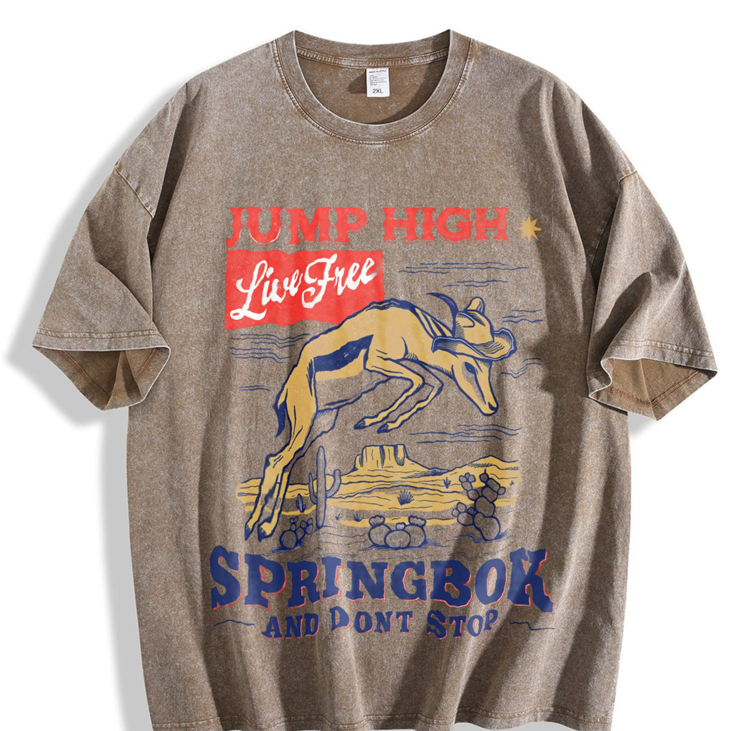 Springbok Western 90s Vintage Washed T-Shirt product image 3
