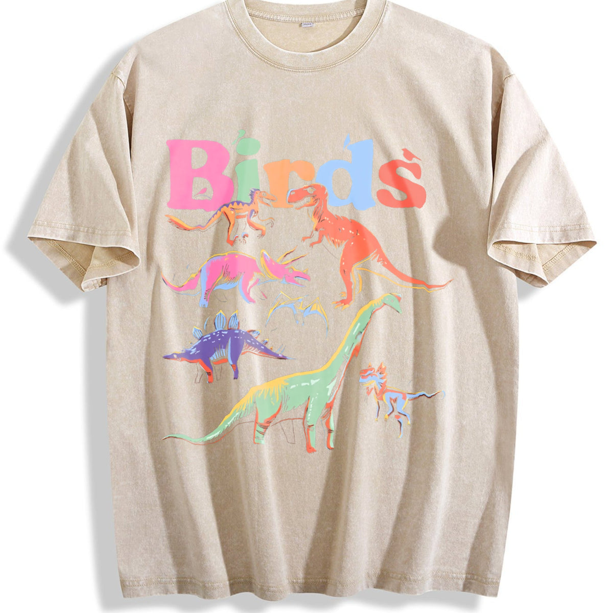 Dinosaur - Black With Prehistoric & Birds Vintage Washed product image 1