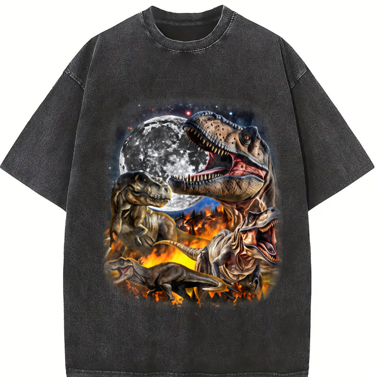 Dinosaur Vintage Washed T-Shirt product image 2