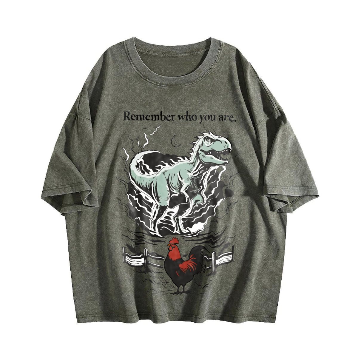 Remember Who You Are Dinosaur Vintage Washed T-Shirt product image 4