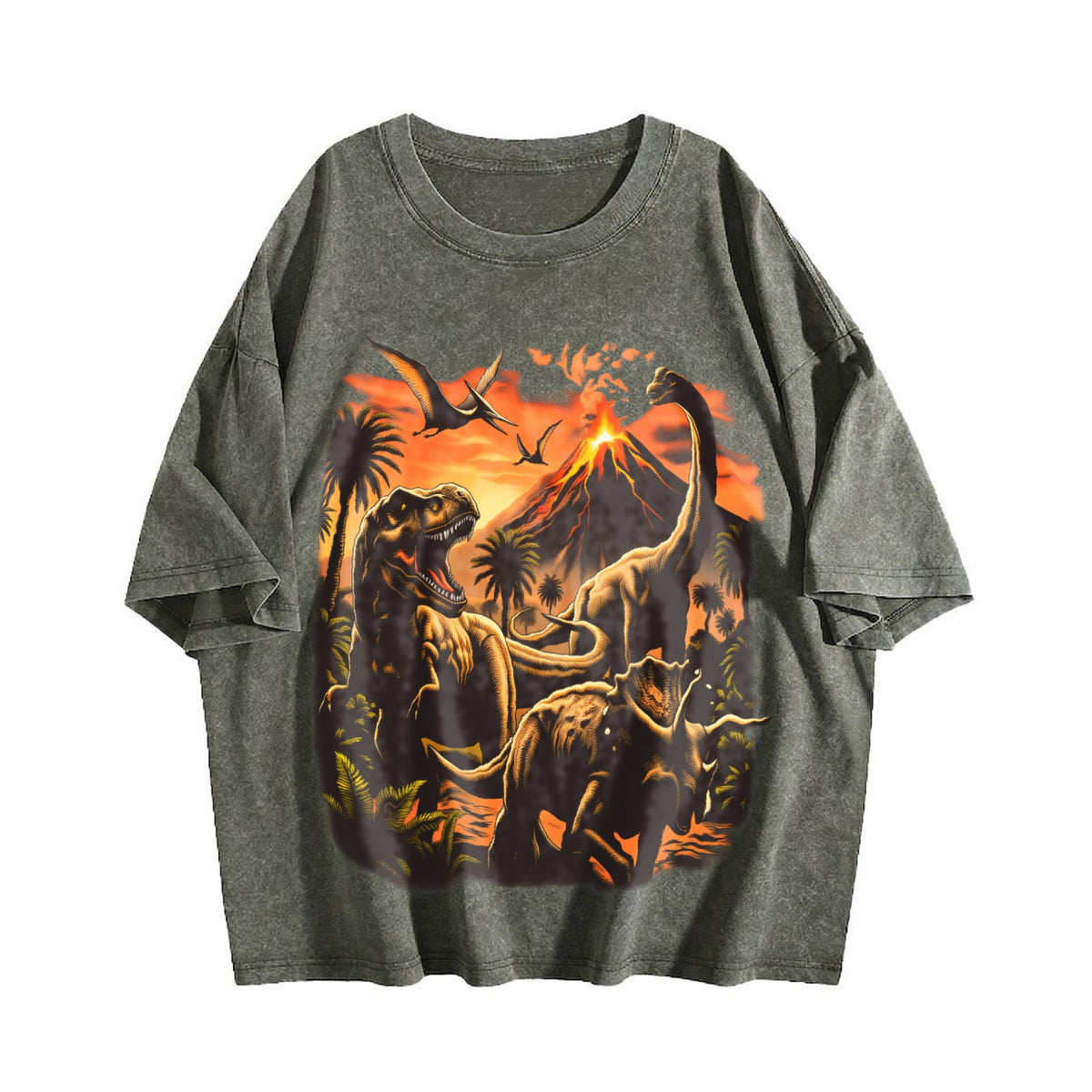 Dinosaur Vintage Washed T-Shirt product image 4