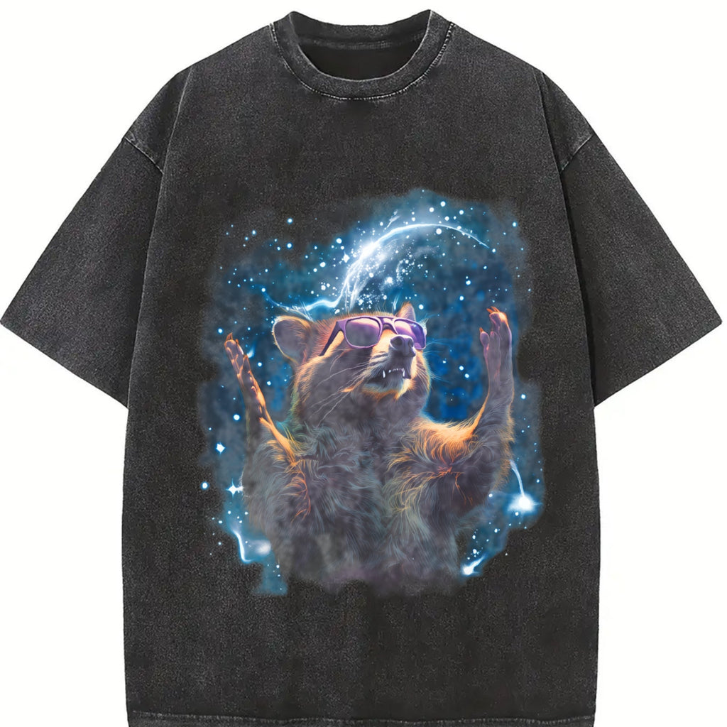Alpha Raccoon In Space 90s Vintage Washed T-Shirt product image 2
