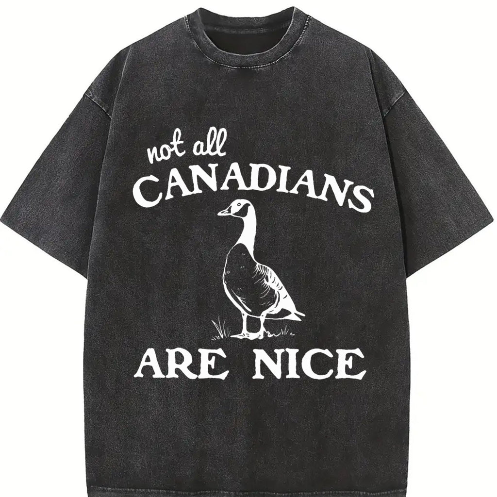 Canadian Goose Summer Vintage Washed T-Shirt product image 2