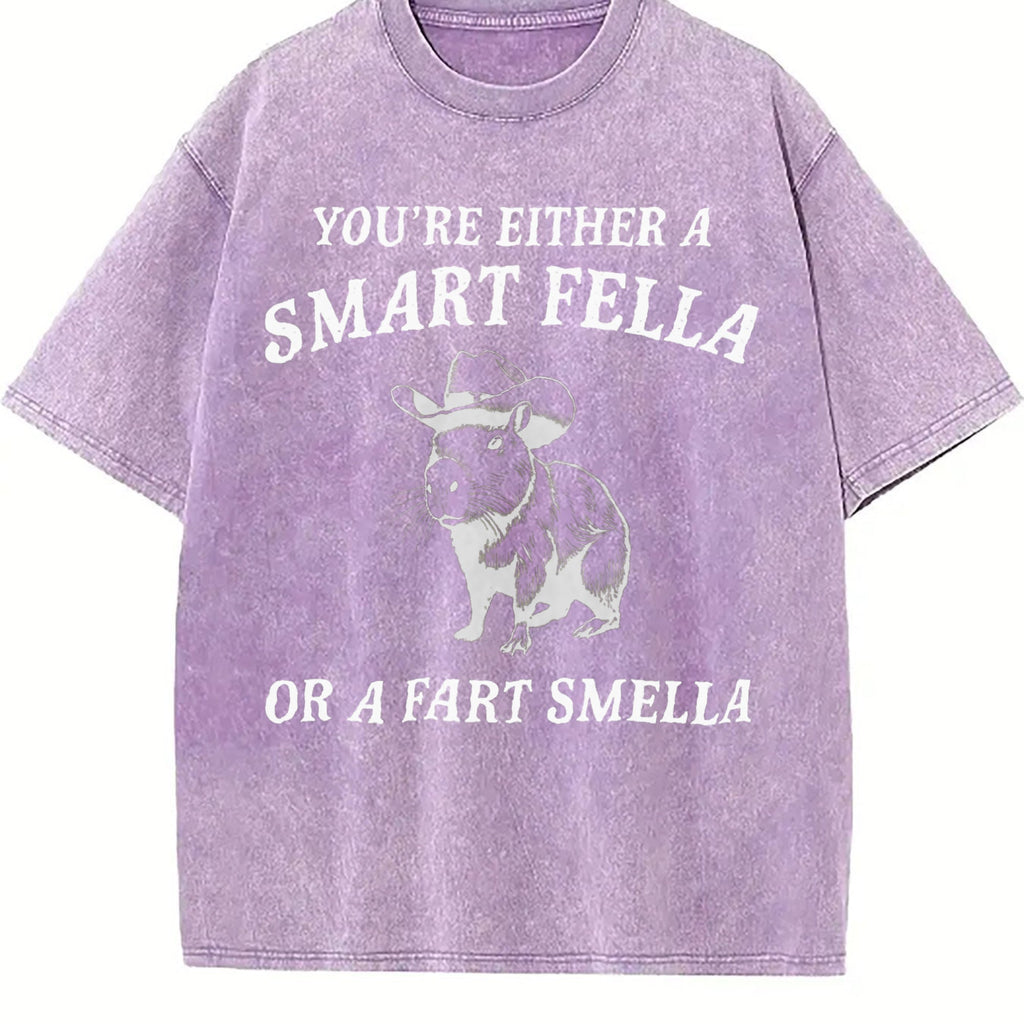 Are You A Smart Fella Vintage Washed T-Shirt product image 6