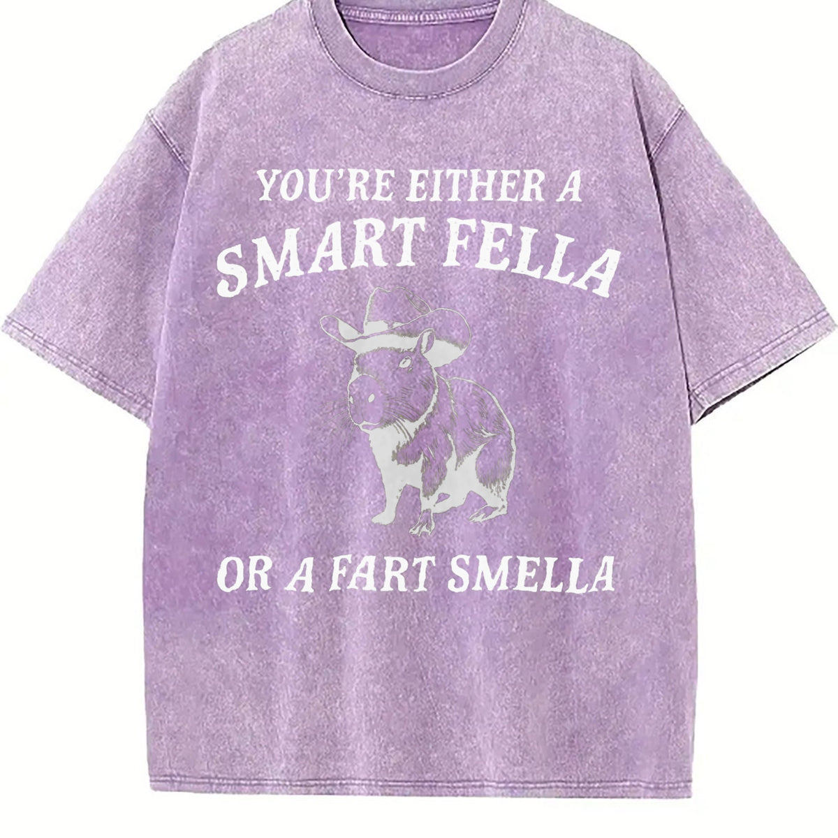 Are You A Smart Fella Vintage Washed T-Shirt product image 6