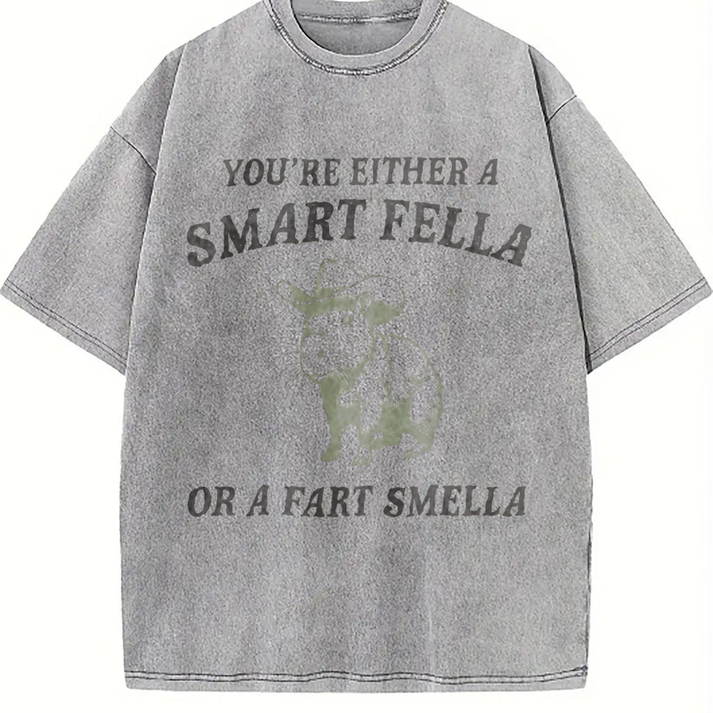 Are You A Smart Fella Vintage Washed T-Shirt product image 5