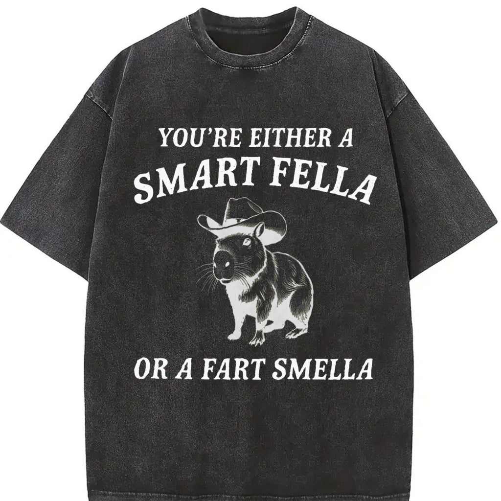 Are You A Smart Fella Vintage Washed T-Shirt product image 2