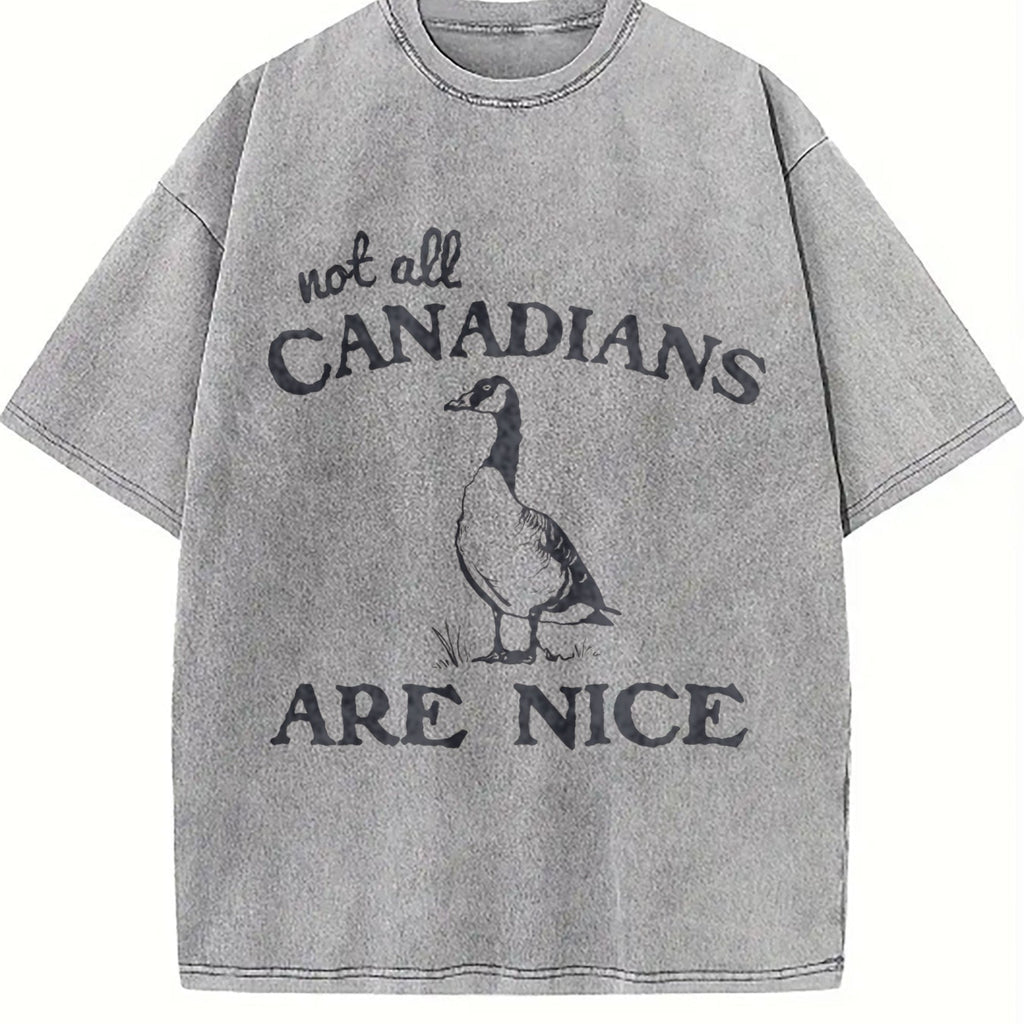Canadian Goose Summer Vintage Washed T-Shirt product image 5
