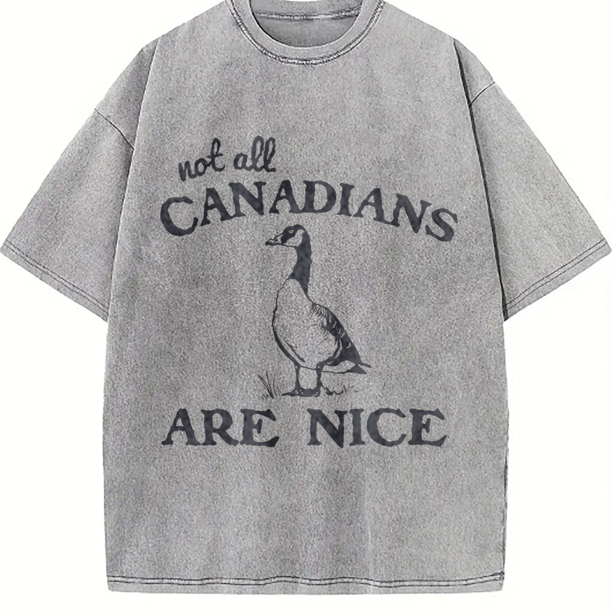 Canadian Goose Summer Vintage Washed T-Shirt product image 5