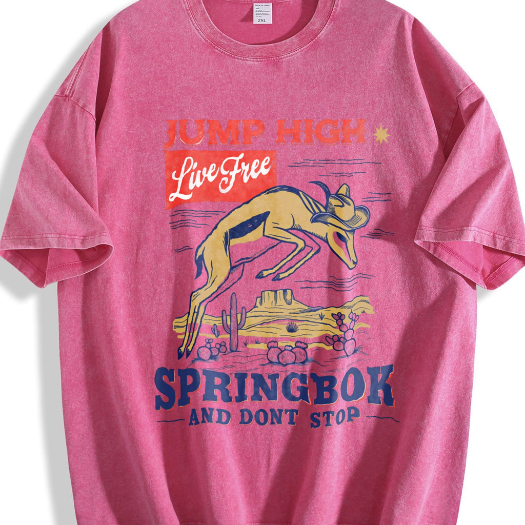 Springbok Western 90s Vintage Washed T-Shirt product image 7