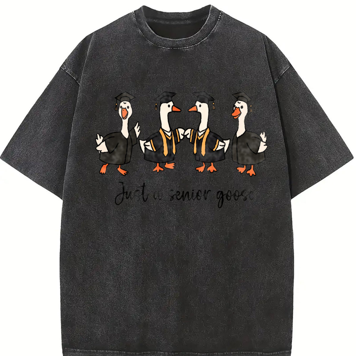 Preppy Graduation Goose Vintage Washed T-Shirt product image 2