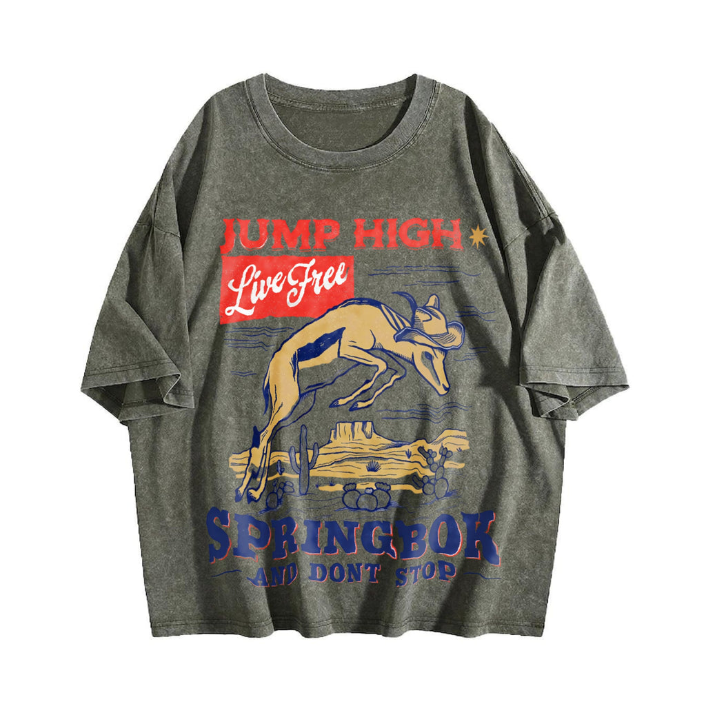 Springbok Western 90s Vintage Washed T-Shirt product image 4