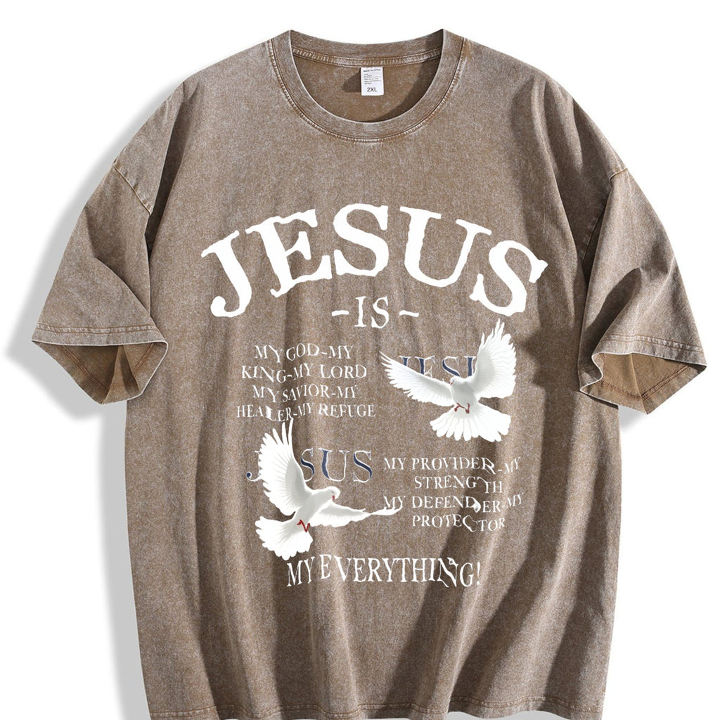 Appearance Vintage Washed T-Shirt product image 3