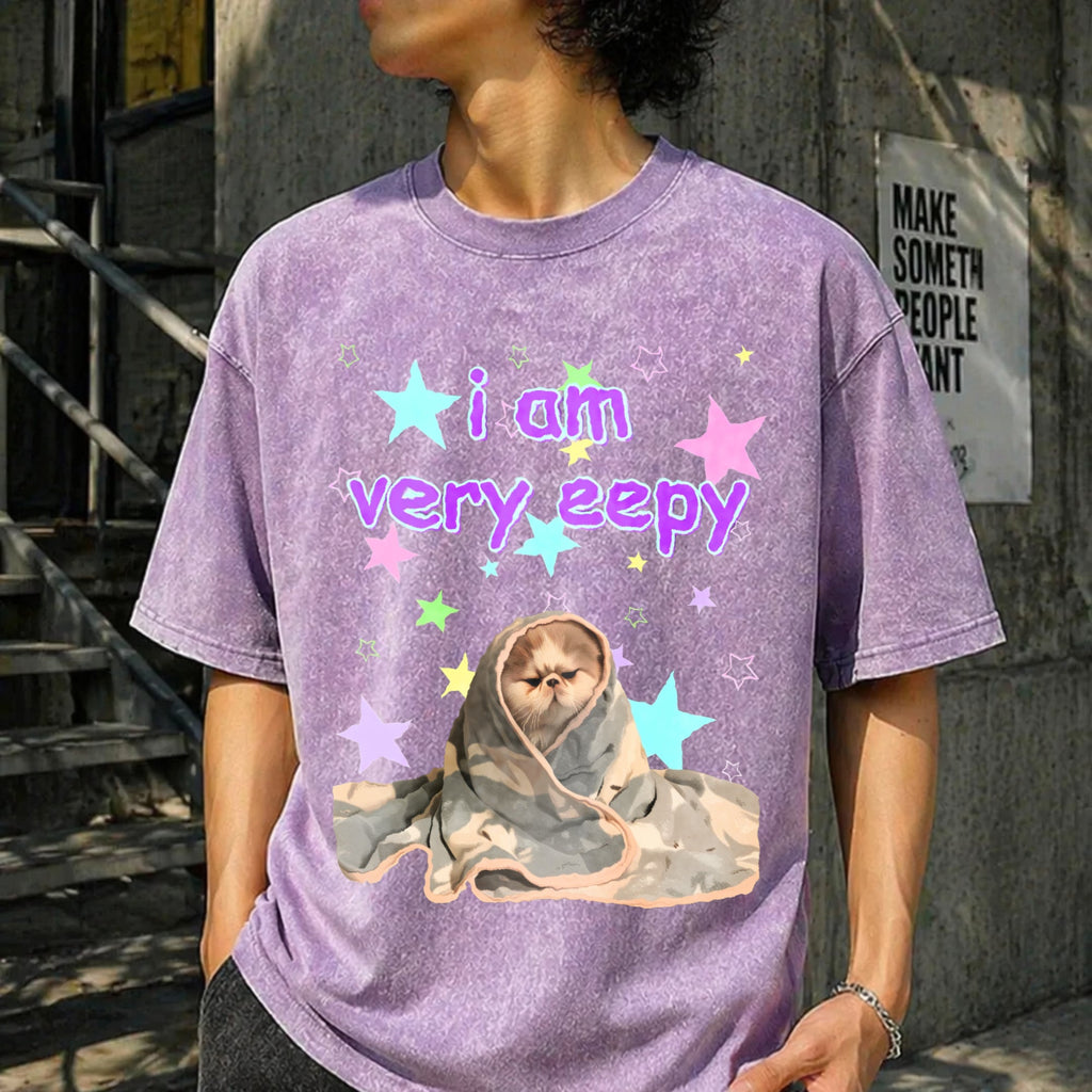 Eepy Cat Funny Vintage Washed T-Shirt product image 6