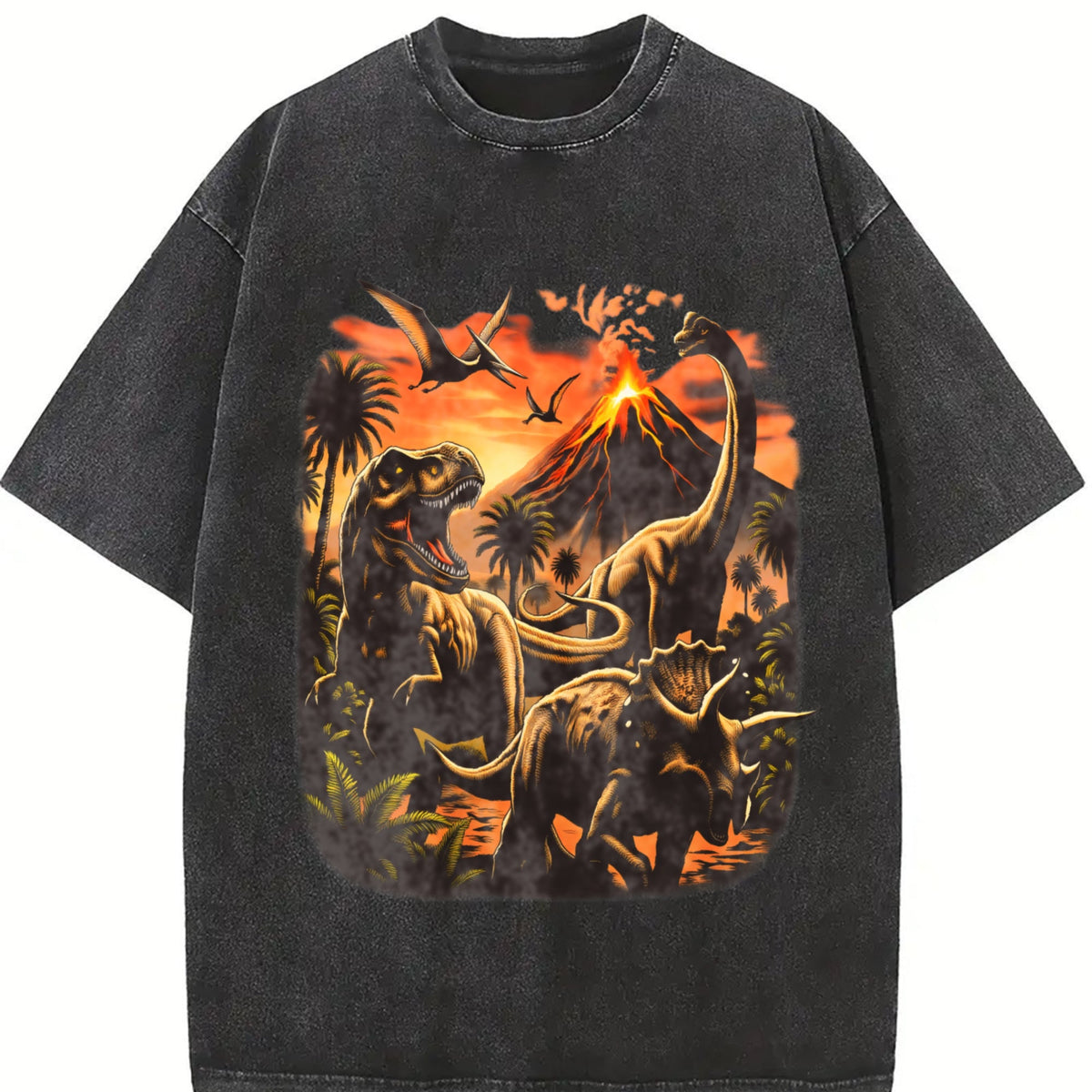 Dinosaur Vintage Washed T-Shirt product image 2