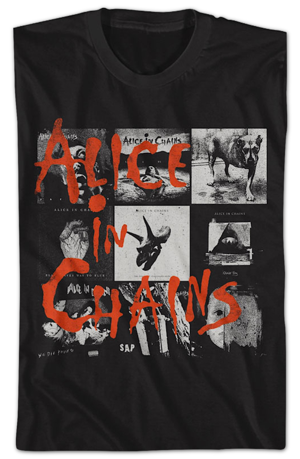 Cover Artwork Alice In Chains T-Shirt product image 2