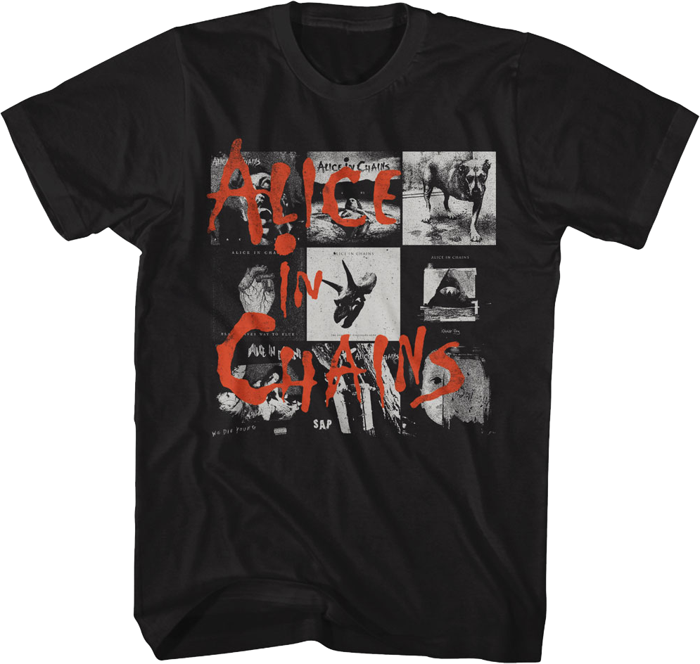 Cover Artwork Alice In Chains T-Shirt product image 1