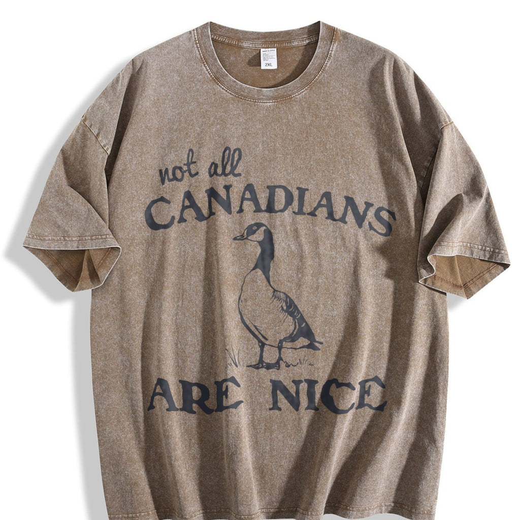Canadian Goose Summer Vintage Washed T-Shirt product image 3
