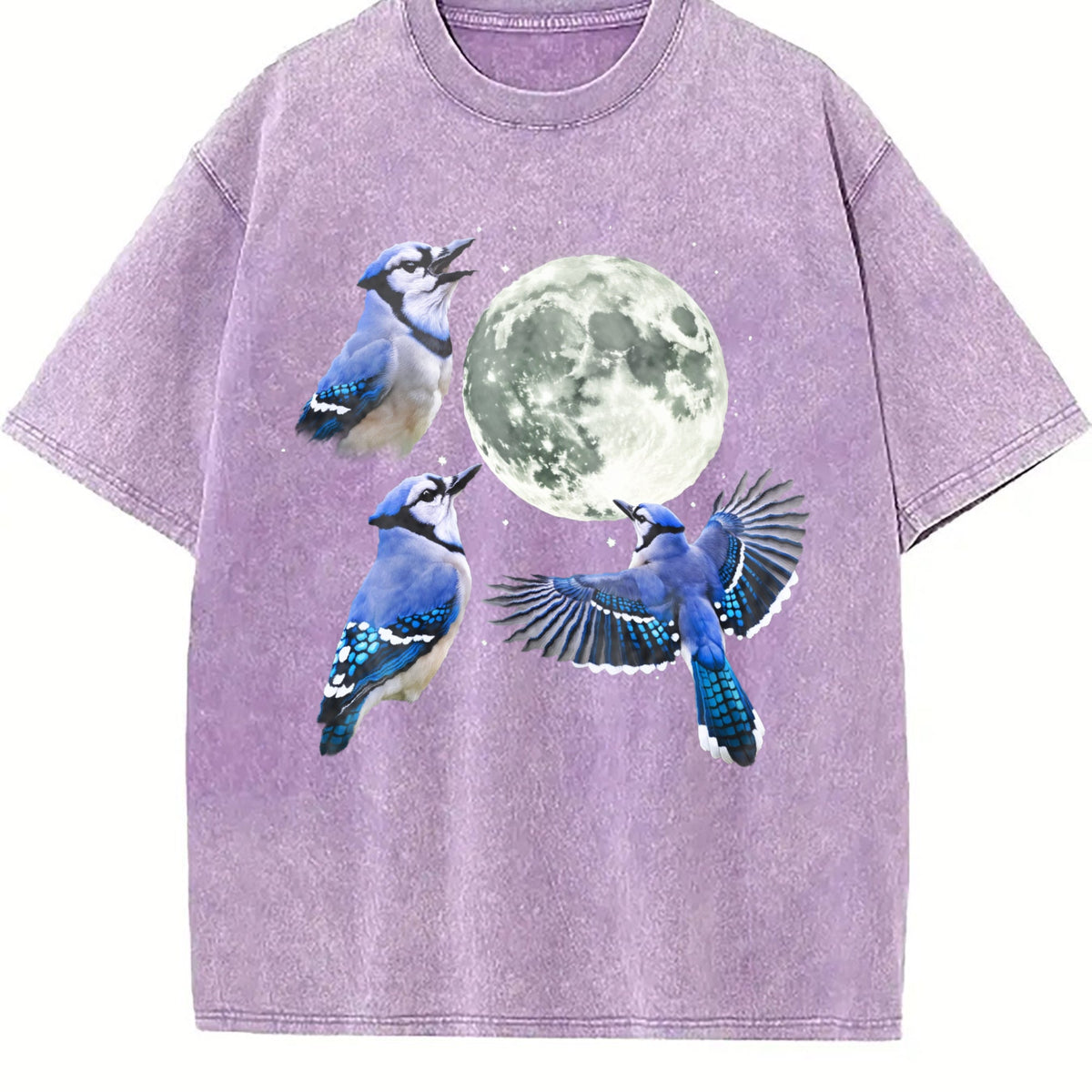 Blue Jay Moon 90s Vintage Washed T-Shirt product image 6