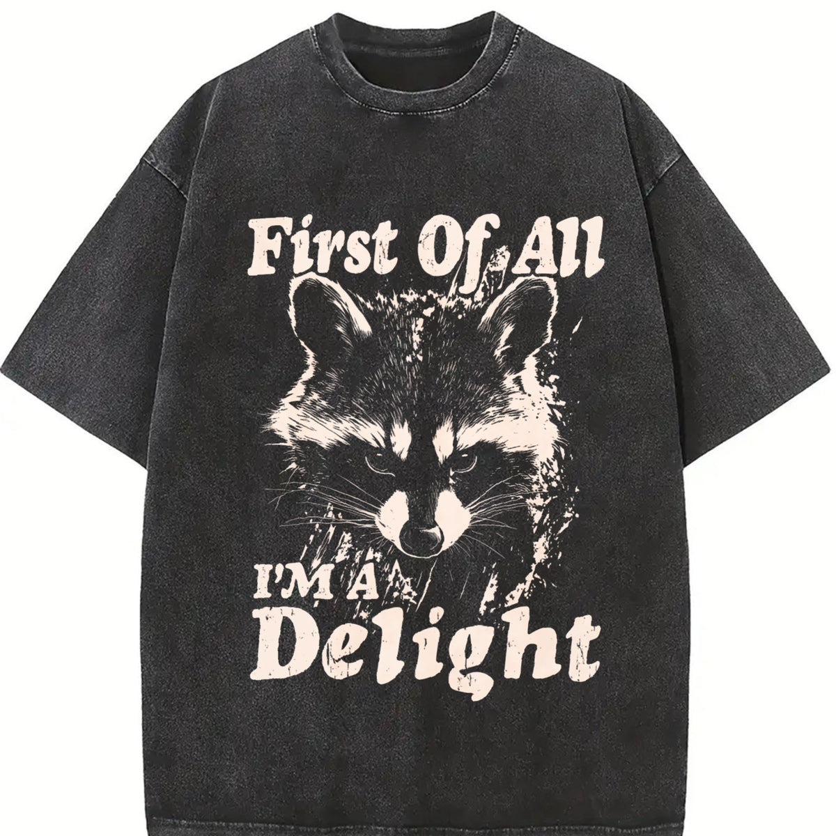 Fun First I Am Joy Raccoon -brown With Cute Animal Face product image 2