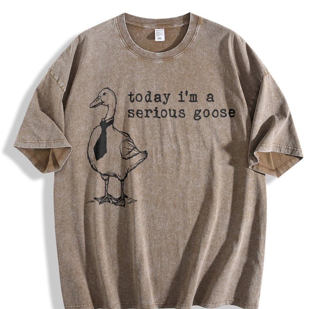 Serious Goose Vintage Washed T-Shirt product image 3