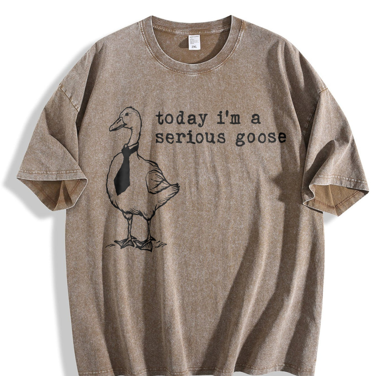 Serious Goose Vintage Washed T-Shirt product image 3