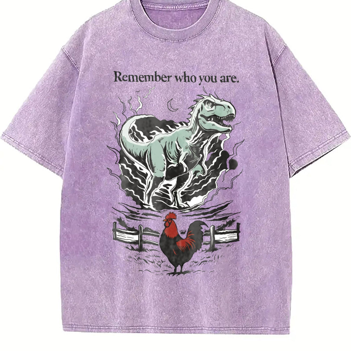 Remember Who You Are Dinosaur Vintage Washed T-Shirt product image 6